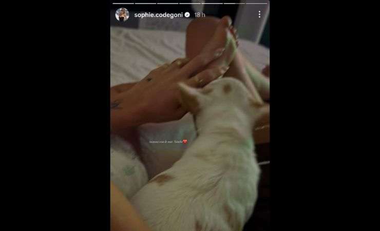 mano piede bambina e cane
